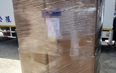 跨國搬去日本九州福岡不用怕｜從台灣寄包裹到日本家中配送的詳細流程攻略與費用分析 (海運空運比較)、包裝技巧與通關經驗分享