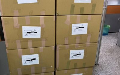 三年累積的重量：楊小姐從台灣到加拿大的人生轉運之路